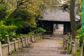 shikoku, JAPAN - may 2 2025 Jinne-in Temple No. 68 in the Shikoku Pilgrimage
