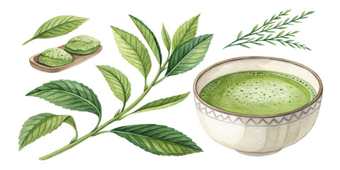 Watercolor Matcha Tea Composition Leaves, Sweets, and Drink, Isolated on Transparent Background, Matcha, Watercolor, Tea
