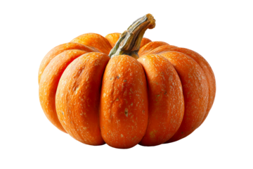 Large orange pumpkin with ribbed texture and stem