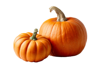 Two pumpkins ready for autumn decor and cooking