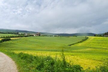 자연 경관 녹색 들판 풍경