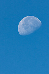 Detailed view of the daytime Moon against a clear blue sky, revealing its craters and surface...