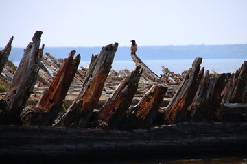 wooden boat on the beach
