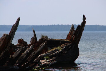 wooden boat on the beach