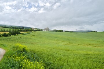 자연 경관 녹색 들판 풍경