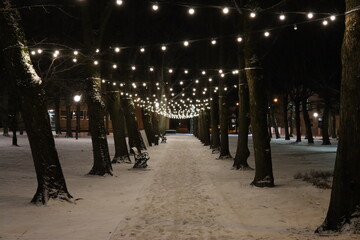 people walking in the city