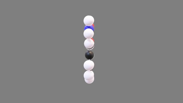 Amino Acid Leucine Ball and Stick 3D Model Animated Isolated