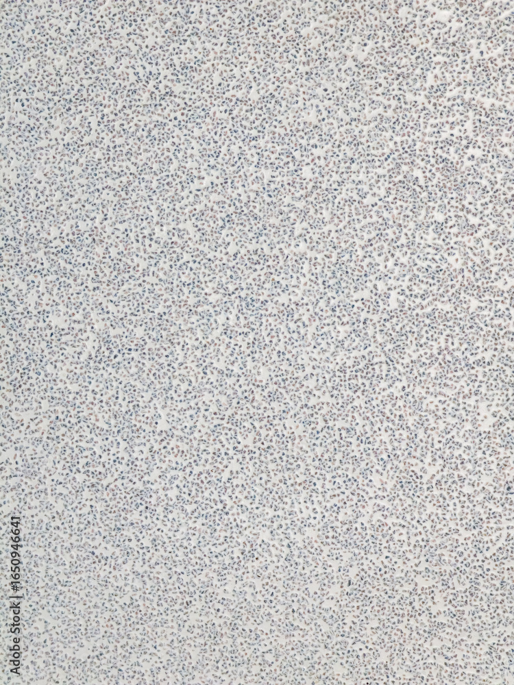Poster close up macro texture of white surface with scattered tiny blue dots