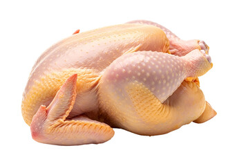 Raw Whole Chicken on a Black Background with Detailed Skin and Poultry Features for Culinary