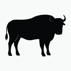 Bison Silhouette Black Vector Wild Animal Outline Illustration