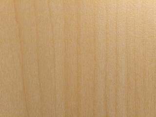 Fototapeta premium Macro texture of light wood surface with natural grain pattern