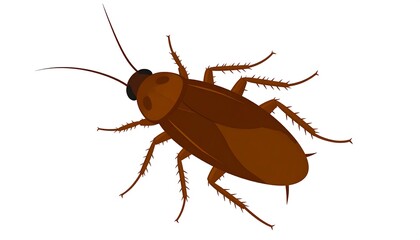 Brown cockroach illustration