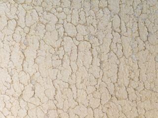 Macro texture photo of cracked dry earth surface background