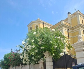 Photo of city in Apulia. Southern Italy. 