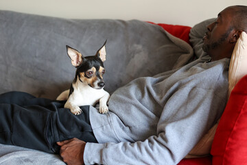 A cute puppy laying on his owner lap