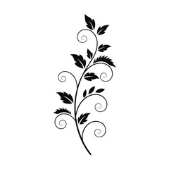 A stylized black silhouette of a delicate vine with swirling tendrils and detailed leaves, perfect for decorative accents.
