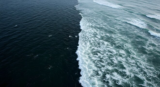 A stunning natural scene where river water meets vast sea water, creating a unique split of two different worlds of nature.