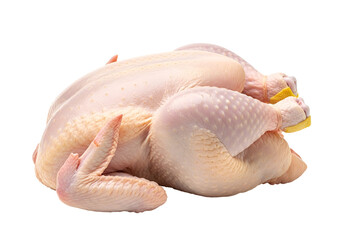 Uncooked whole raw chicken with skin and legs on a black background for culinary preparation
