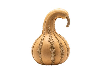 Unique beige gourd with textured ridges and a curved neck isolated on black background