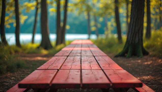A wooden pathway through a forest with trees and yellow leaves in autumn. Nature and outdoor scenery. Tranquil and scenic location.