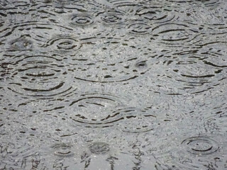 雨の波紋