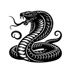 Fototapeta premium Aggressive cobra snake with open mouth and fangs, isolated on white background