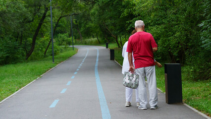 Fototapeta premium Elderly couple walking together on a peaceful pathway surrounded by lush greenery in a city park during daytime