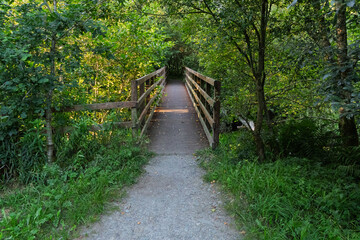 Obraz premium A wooden bridge over a path in a forest