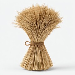 A tightly bound sheaf of dried wheat stalks