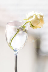 glass of wine and flower
