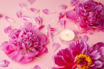 Pink peonies and petals with a burning candle on pastel pink background