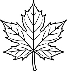 Maple Leaf Black Outline Icon vector