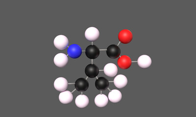 3D Illustration Amino Acid Valine Ball and Stick Model