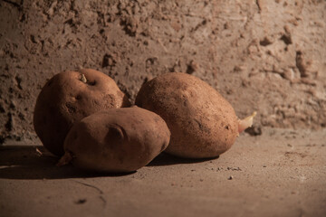 still life potatoes. Modern art. Potatoes in the basement