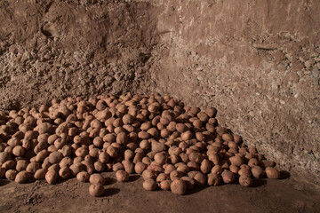still life potatoes. Modern art. Potatoes in the basement