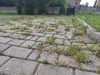 grass sprouted from the paving stones. Old abandoned paving stones. Ghost town Stalker