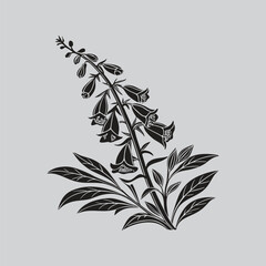Bold Petaled Foxglove Bloom Vector