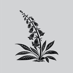 Elegant Petal Foxglove  Black Vector Art