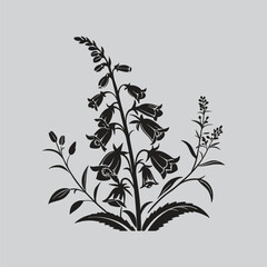 Foxglove Plant Illustration in Black and White © AB vector designer