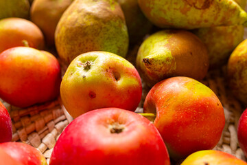 A rustic basket full of freshly harvested autumn fruits.