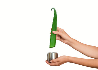 Aloe vera leaf and juice jar in hands on light surface, isolated. Antioxidants, inflammation relief.
