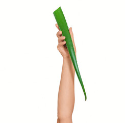 Raised female hand with aloe vera on white, isolated. Benefits organic cosmetics, anti-aging concept