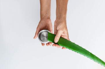 Aloe vera leaf and juice jar in hands on light surface, isolated. Antioxidants, inflammation relief.