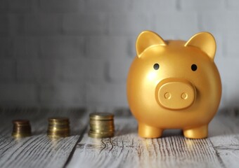 Piggy bank coins money of different countries saving finance keep