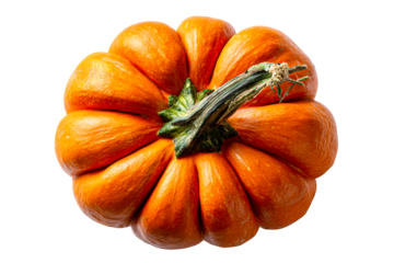 Bright orange pumpkin with a green stem