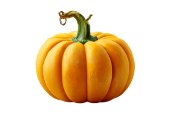 Round Orange Gourd With Twisted Green Stem on White