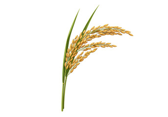Fototapeta premium Close-up of a golden wheat ear with green leaves against a black background for agricultural and