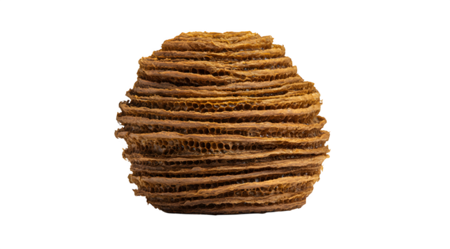 Intricate natural honeycomb structure showcasing perfect hexagonal cells and organic texture, ideal for health or nature themes.