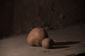 still life potatoes. Modern art. Potatoes in the basement
