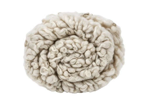 Close-up of a textured, brain-like organic formation with intricate patterns on a black background